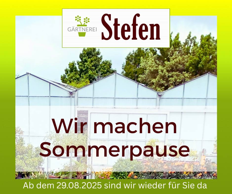 Sommerpause bei Stefen